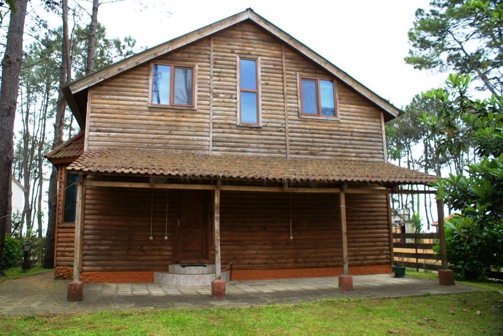 Green Cottage Shekvetili Ureki Extérieur photo