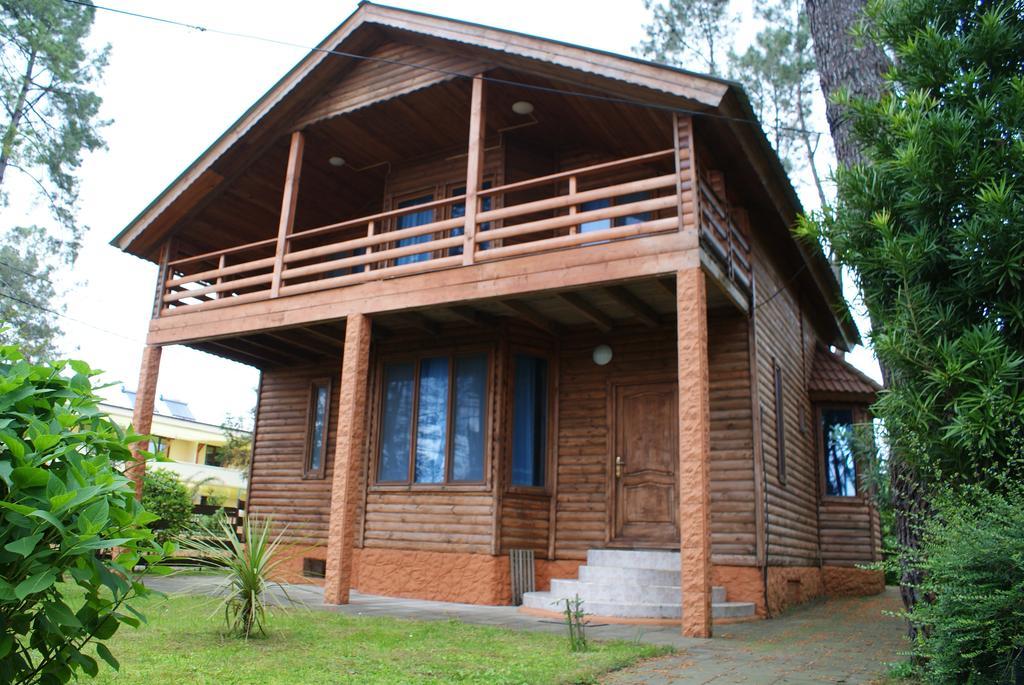 Green Cottage Shekvetili Ureki Extérieur photo